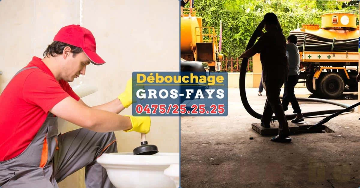 Débouchage Gros-Fays
par SOS Débouche