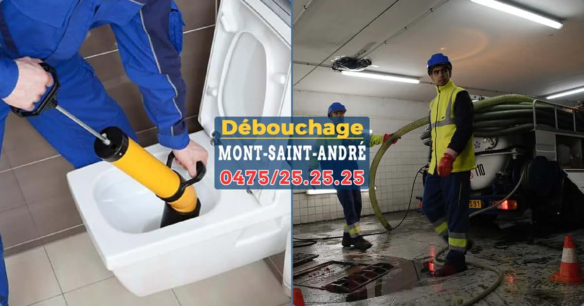 Débouchage Mont-Saint-André
par SOS Débouche