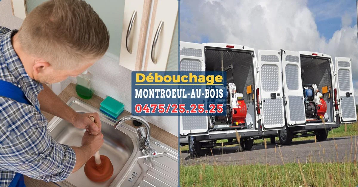 Débouchage Montroeul-au-Bois
par SOS Débouche